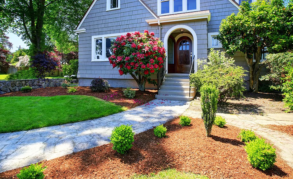 Red mulch forms the border between a walkway and a shrub bed in front of a home.