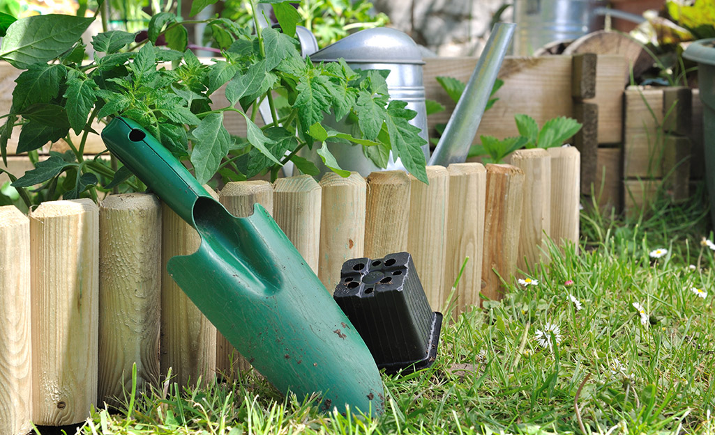 Wood landscape edging stands along the edge of an edible garden.