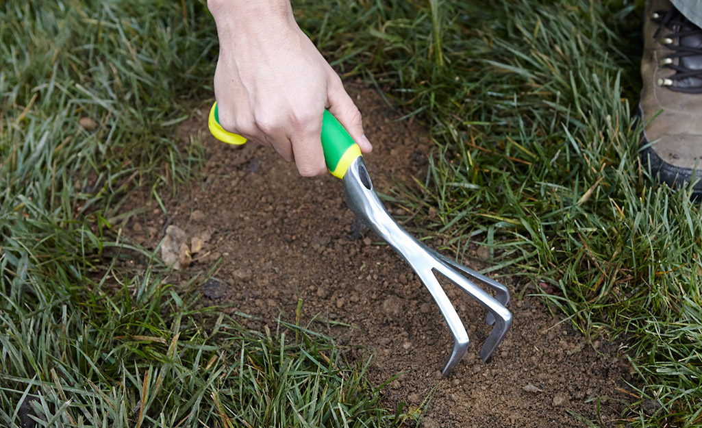 A person uses a hand rake to prepare the soil