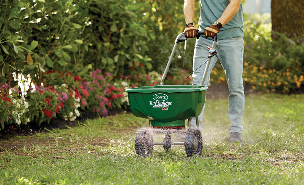 A man uses a spreader to sprinkle seed onto a lawn.