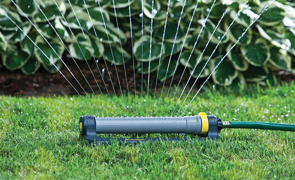 A sprinkler waters lawn to help it grow.