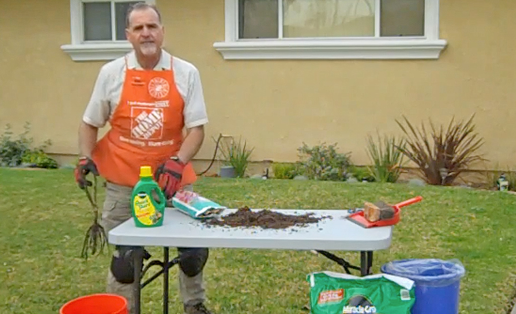 A man unpackages a bare root rose. A man unpackages a bare root rose.