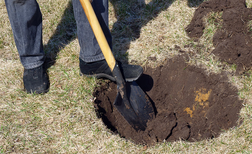 A person digging a hole with a shovel.