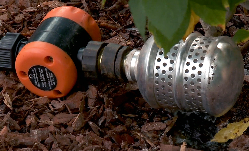 A hose with a metal bubbler sprinkler head is positioned in a garden bed.