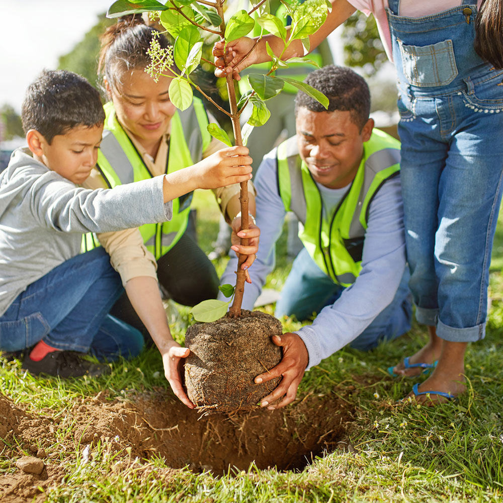 Group of people planting a tree.
