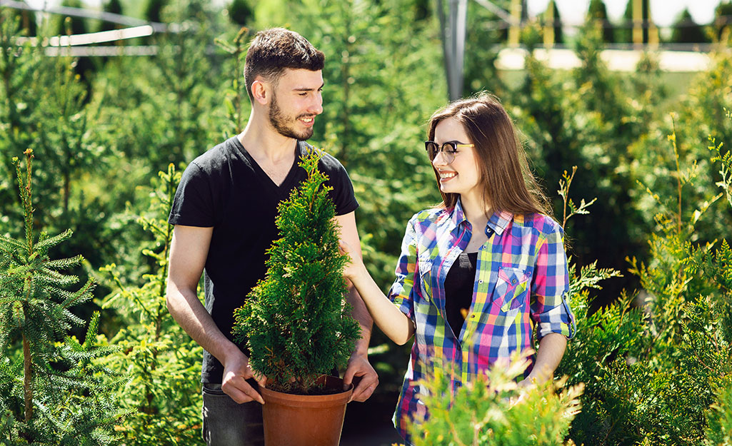 Couple admiring a tree.