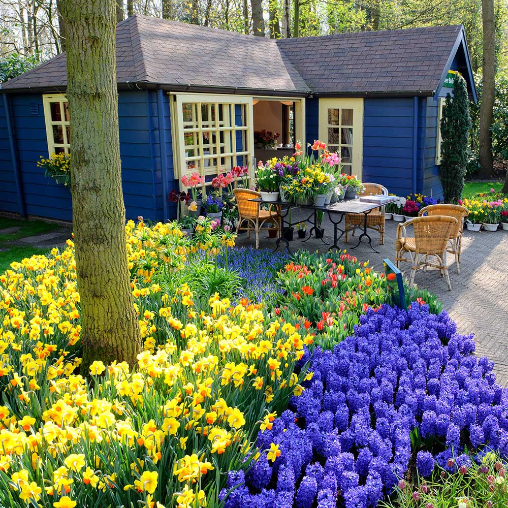 Small blue house with lots of colorful flowers in front garden