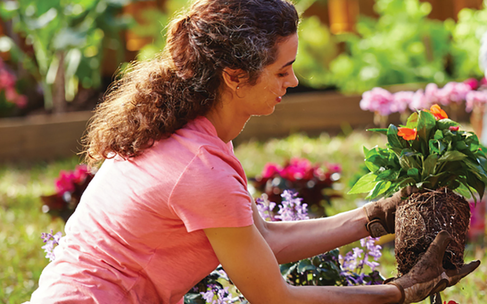 people planting flowers