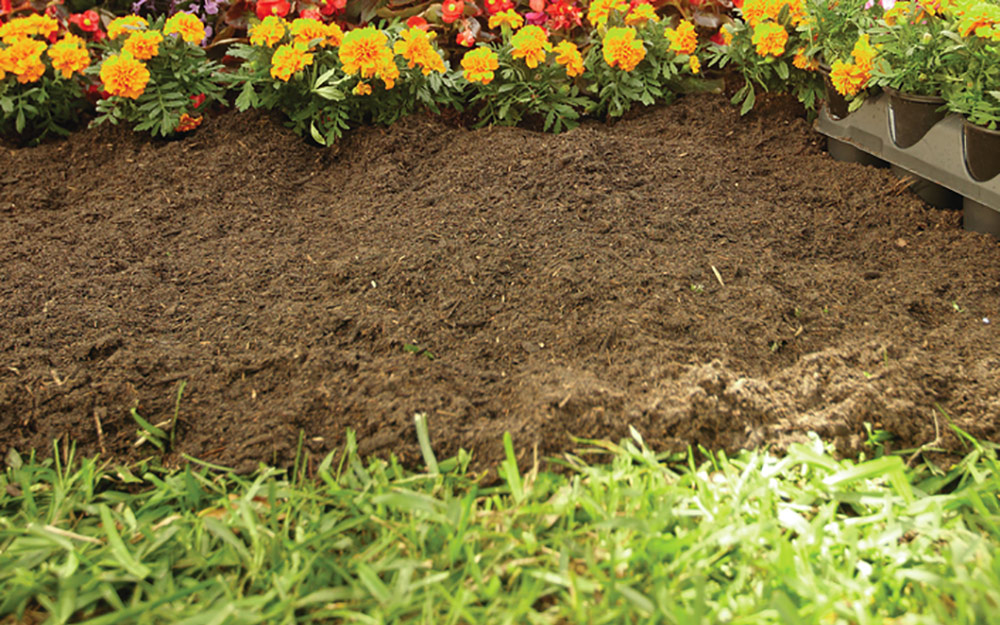 A garden bed with smooth brown dirt.