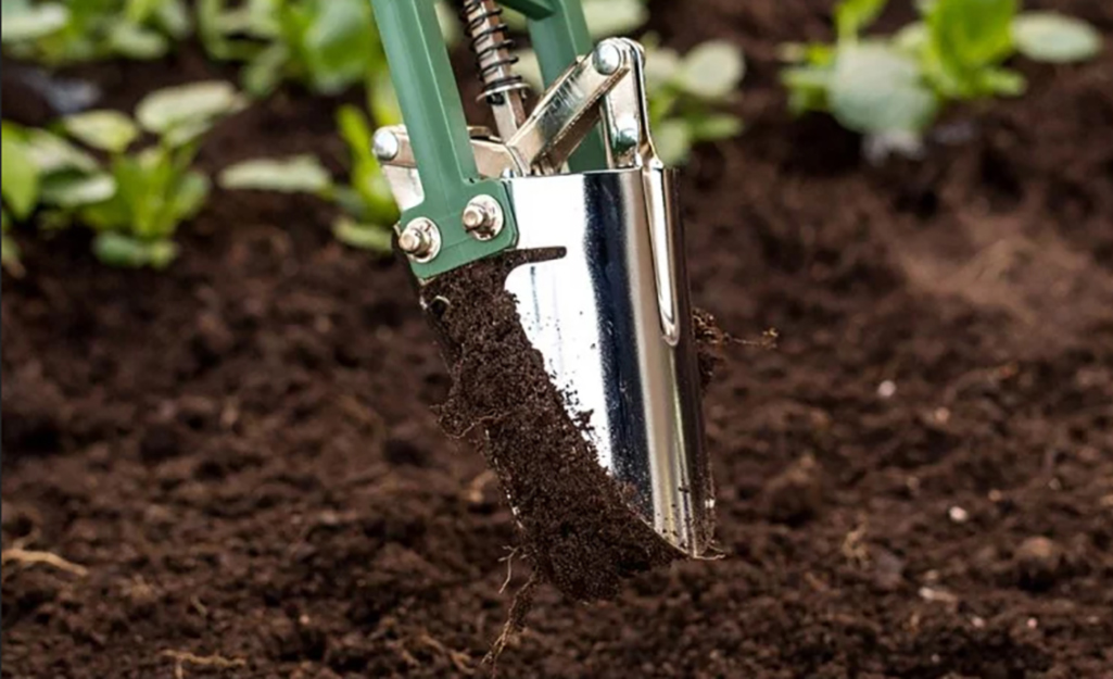 A bulb planter in soil