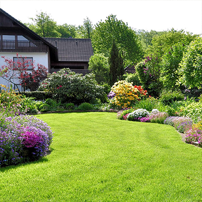 How to Plant the Lawn of Your Dreams - The Home Depot
