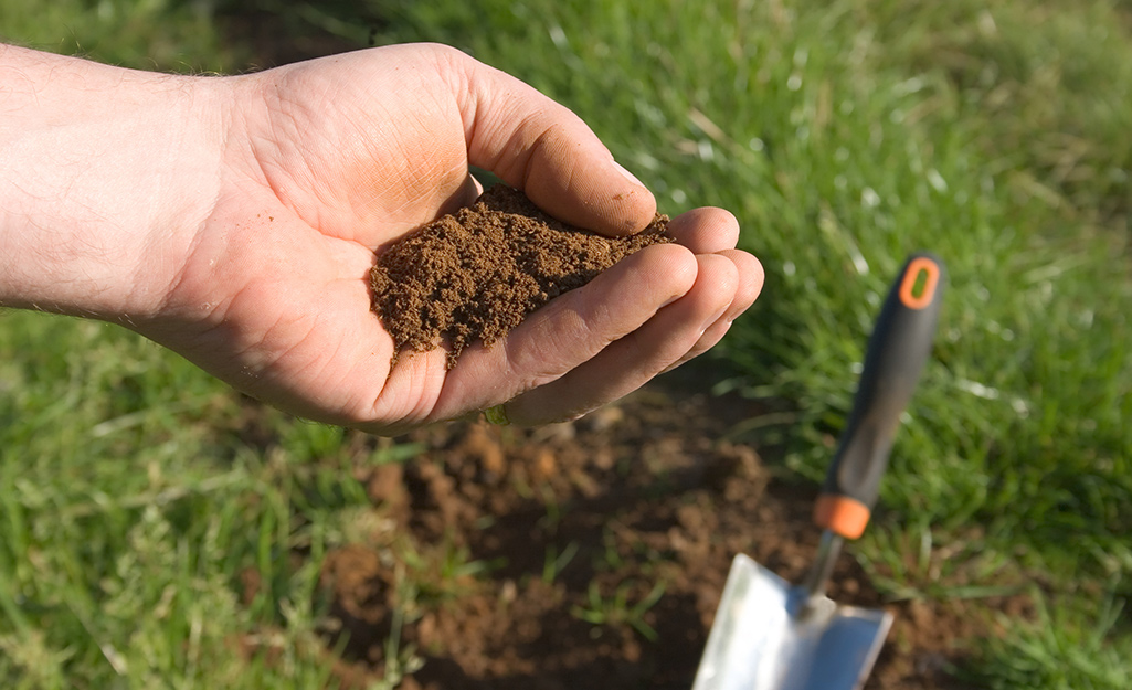 Gardener's hand filled with soil