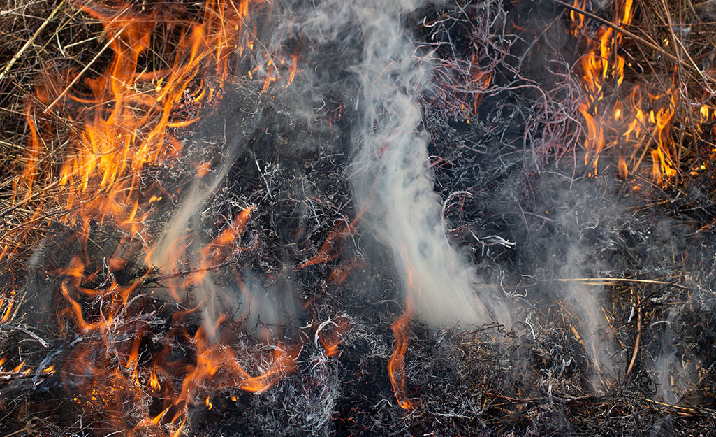Flames and smoke rising from a brush fire. Flames and smoke rising from a brush fire.