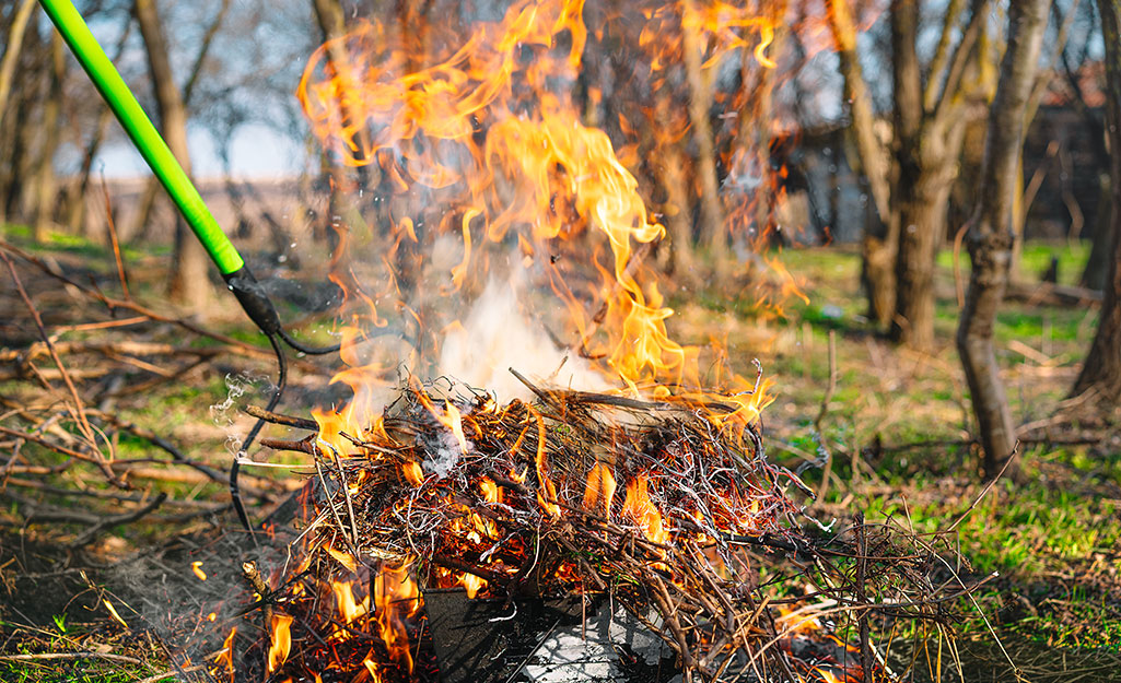 Burning yard debris on a wooded lawn. Burning yard debris on a wooded lawn.