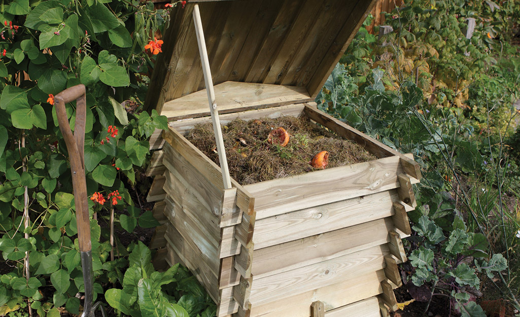 A compost bin sits in the garden.