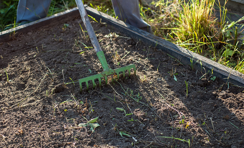 A person rakes compost in the garden.