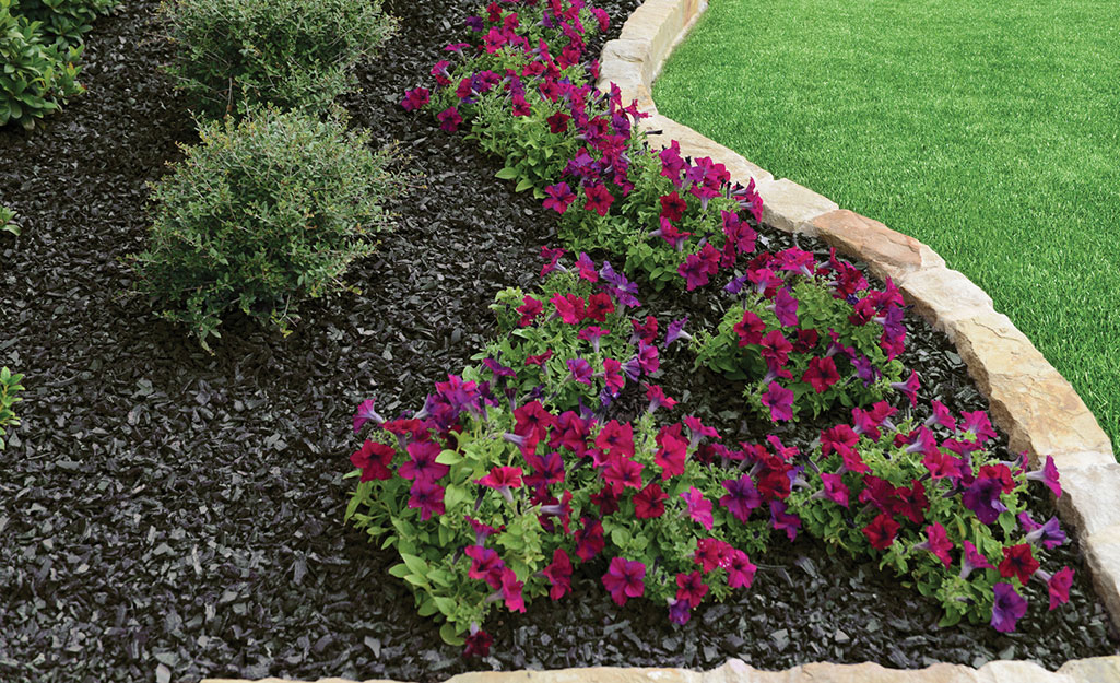 Flowers line a garden bed.