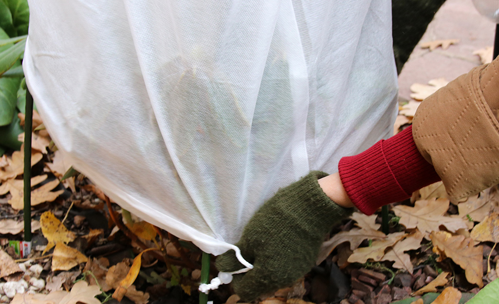 A person covers landscaping with a tarp. 