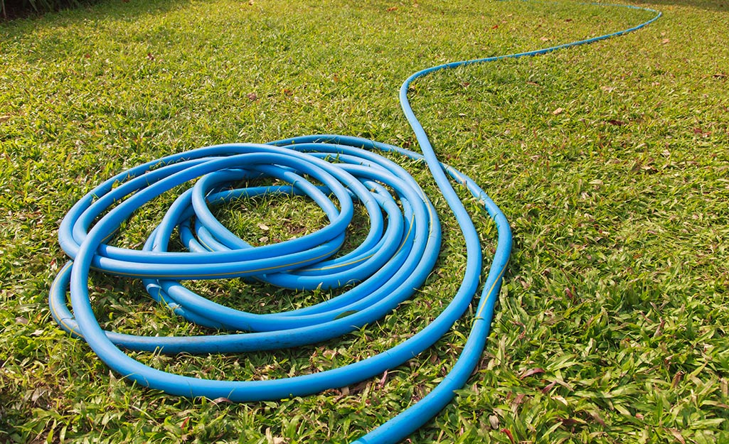 A garden hose curled up on grass.