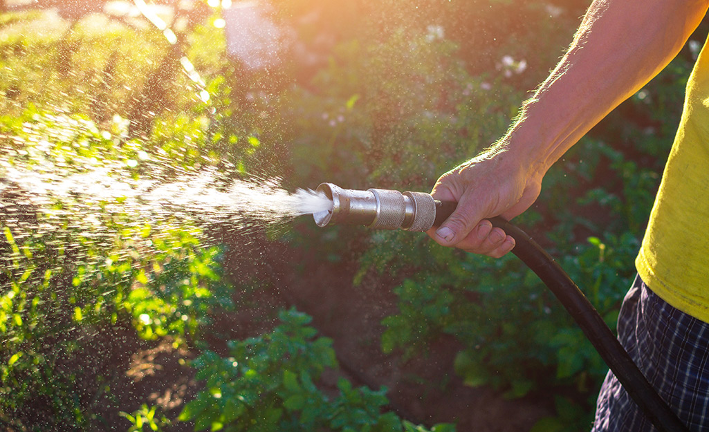 A person spraying water from a hose with a nozzle end.