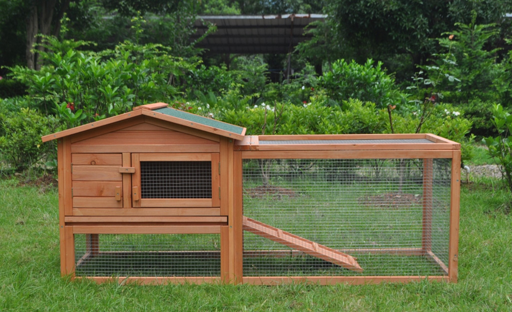 A chicken coop stands in a backyard.