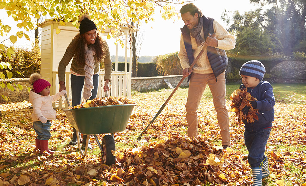 A family raking leaves in a yard with mom, dad, two small kids and a wheelbarrow by a mound of leaves. 
