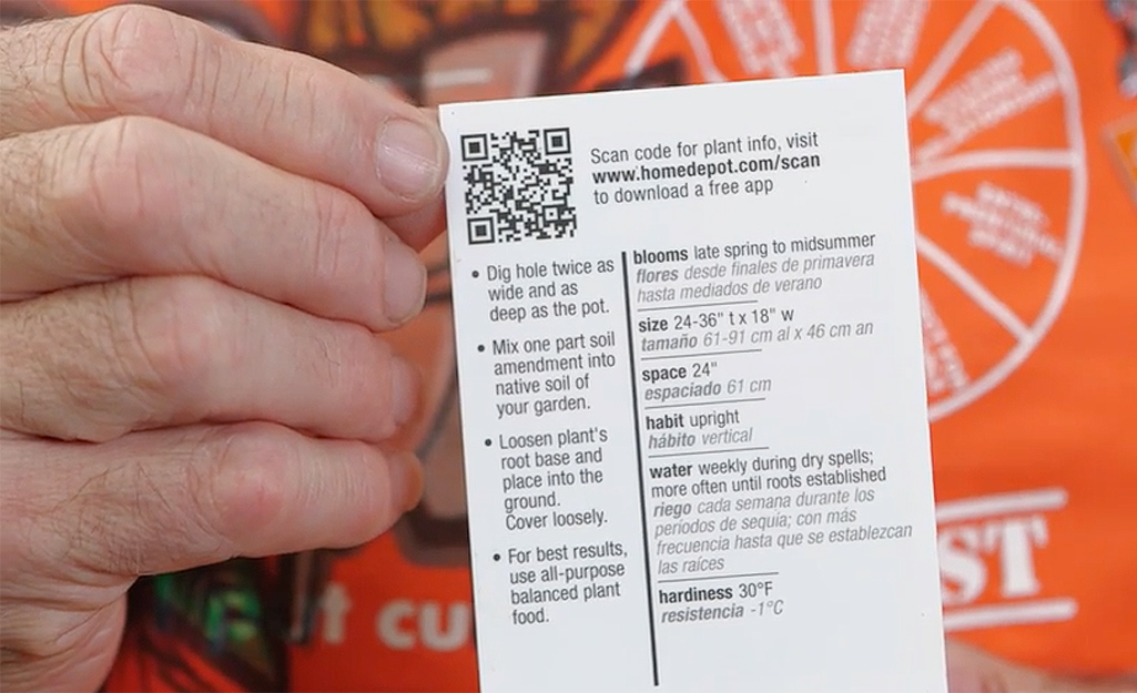 A Home Depot employee indicates the plant info QR code in the top left corner of a Home Depot plant tag. A Home Depot employee indicates the plant info QR code in the top left corner of a Home Depot plant tag.