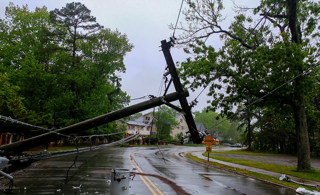 A tree and power line on a street after a storm. A tree and power line on a street after a storm.