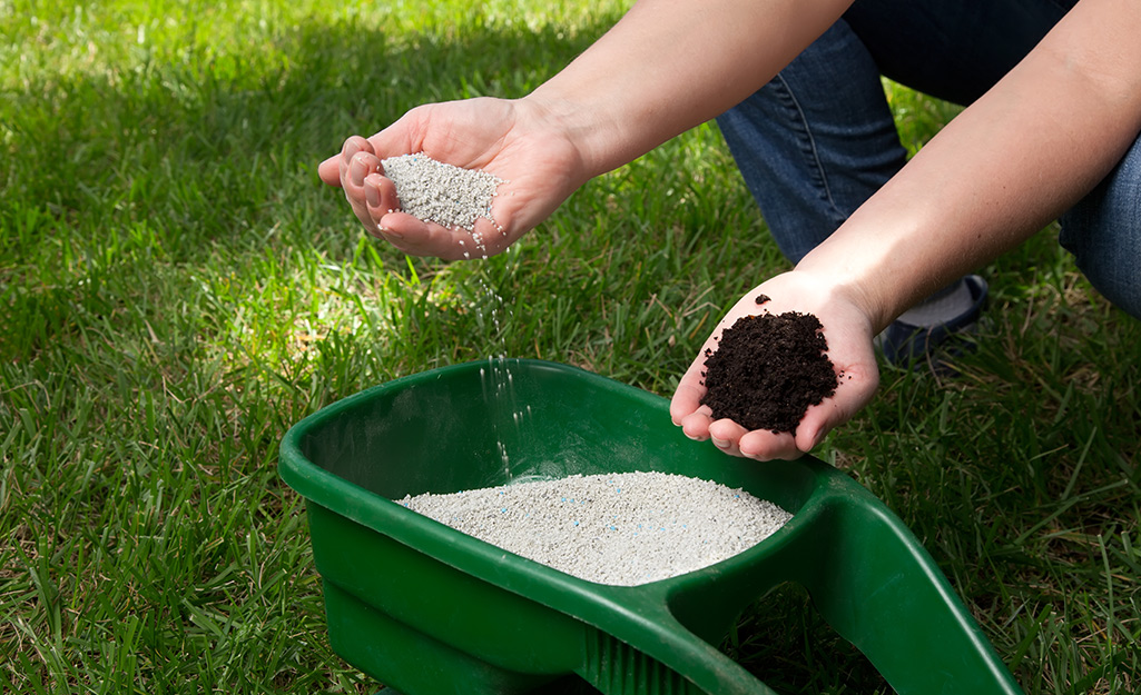 A gardener's hand scoops fertilizer for the lawn.