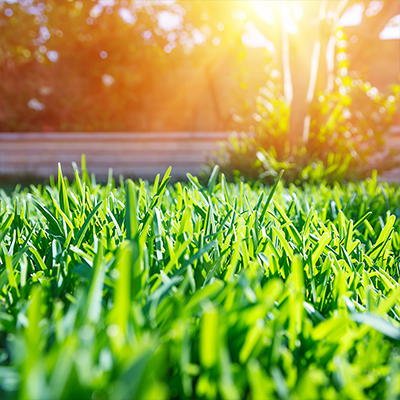 How to Relax and Enjoy Your Lawn This Year