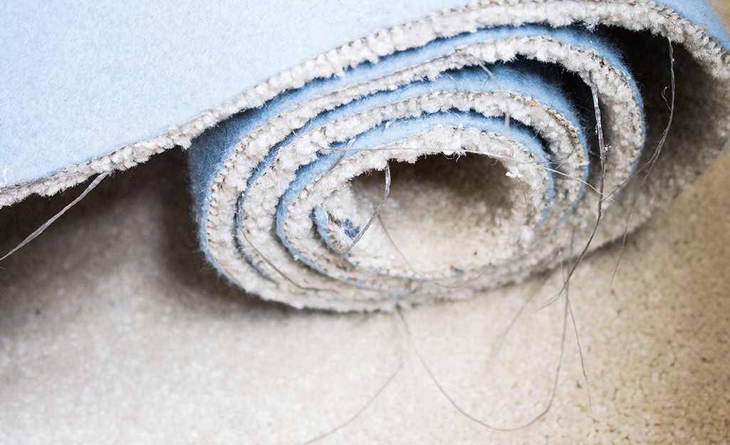 Some Things to Know Before Removing Carpet :: Building Moxie