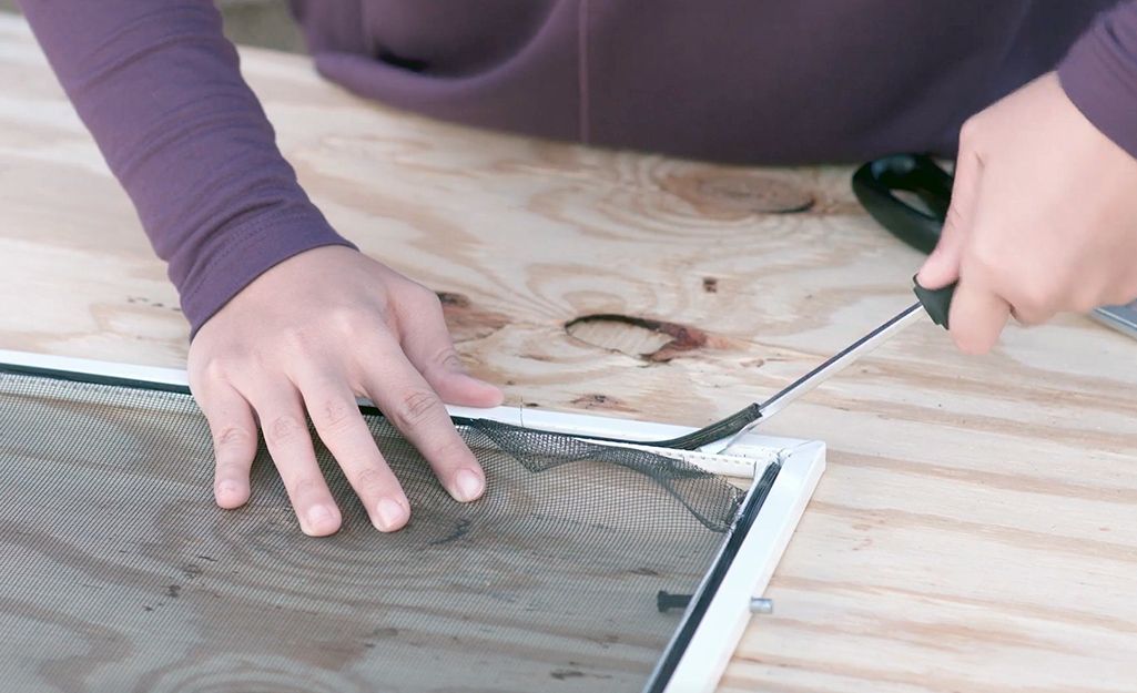 A person prying up a window screen spline with a screwdriver.