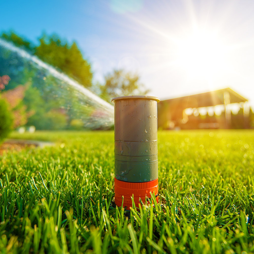 An irrigation system in a lawn.