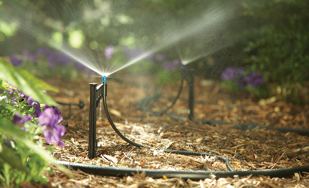 Several sprinklers watering a xeriscaped garden.