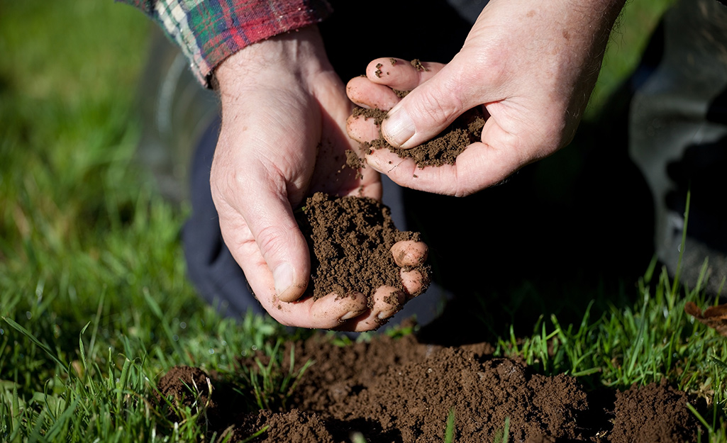 How To Seed A Lawn In Fall - The Home Depot