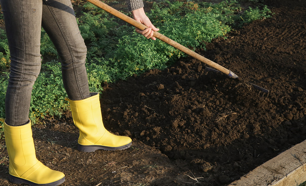 A person in yellow garden boots leveling soil in a garden plot.