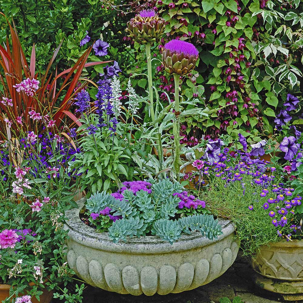 A stone container with flowers and foliage planted in it. 