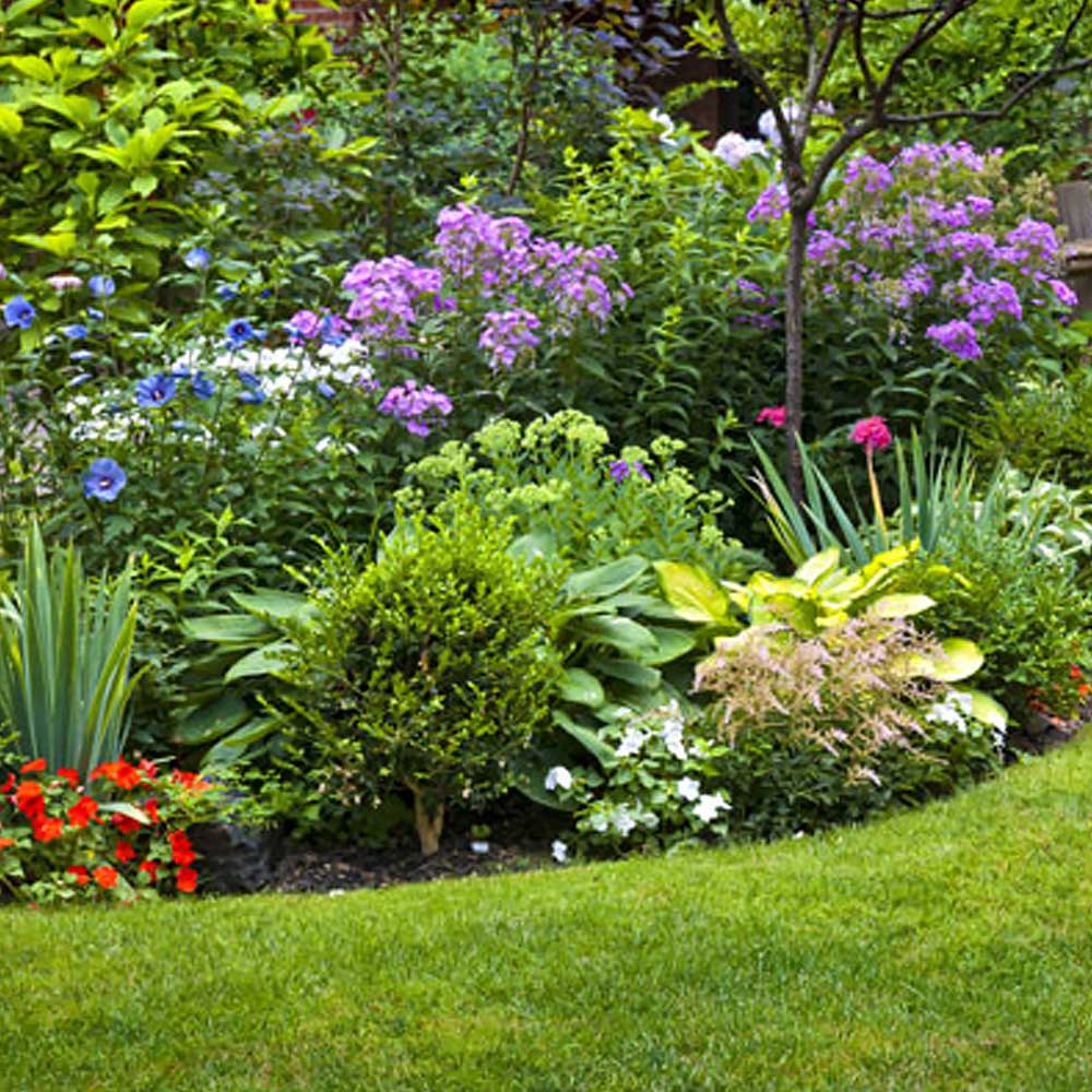 How To Start A Flower Garden In 3 Easy Steps The Home Depot