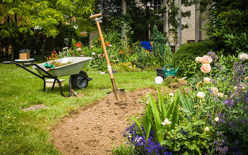 How To Start A Flower Garden, How To Add Soil Perennial Garden