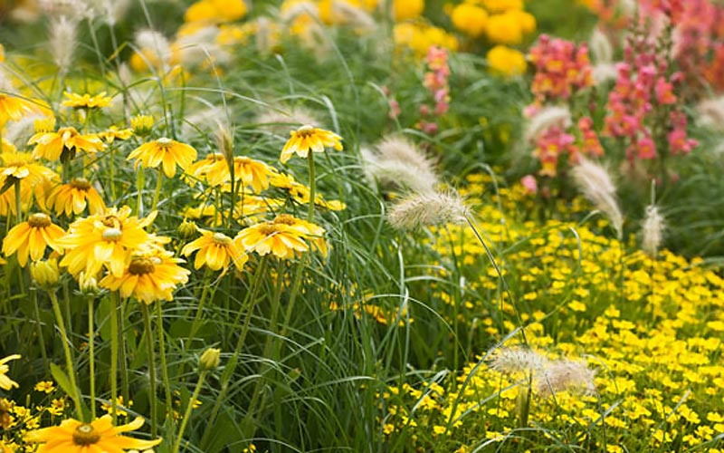 How to Create a Raised Bed Flower Garden in One Afternoon - The Home Depot