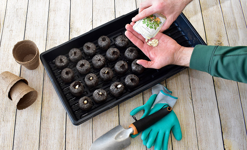 Seeds being dropped into soil.