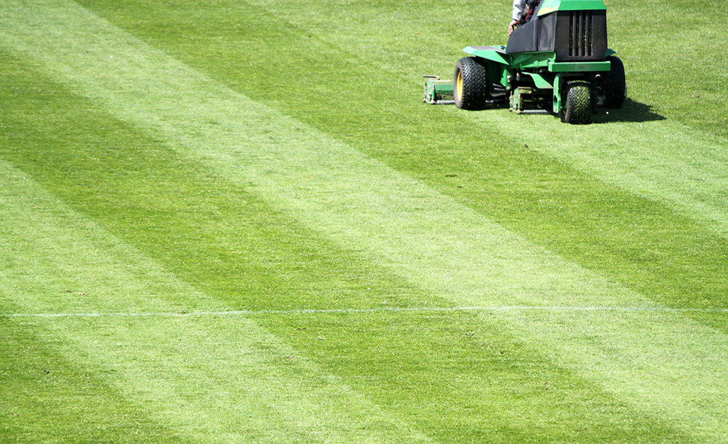 How to Get the Best Lines When Mowing Lawn 
