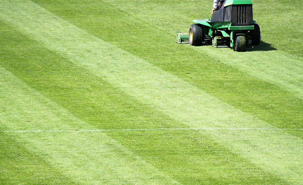 How to Stripe Your Lawn The Home Depot