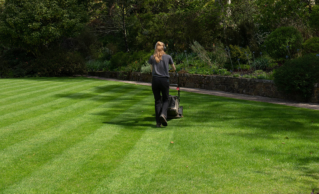 A woman mowing a straight line through her yard.