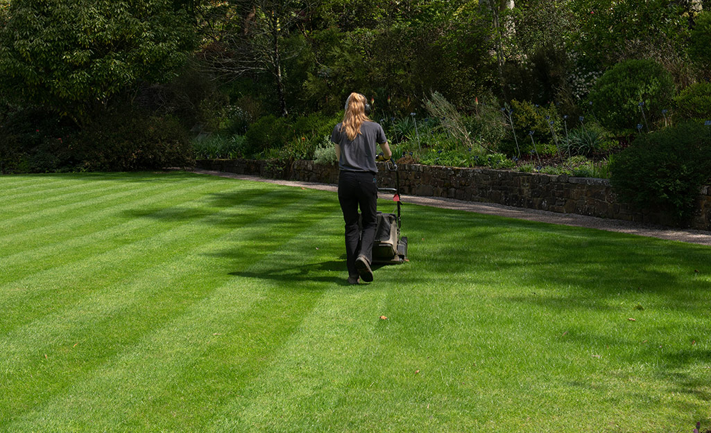 Mow strips for online lawns