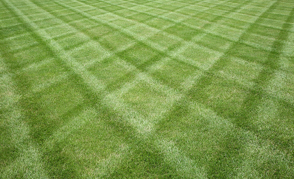 A striped lawn featuring a diamond pattern.