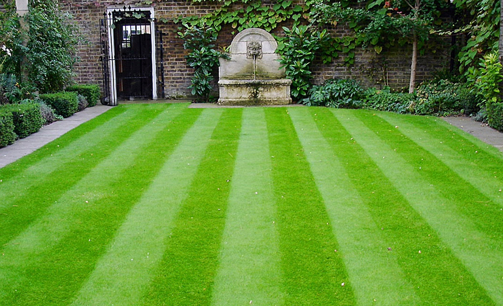 A lawn featuring a horizontal lawn striping.