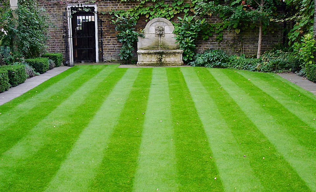 Best lawn mower to make online stripes