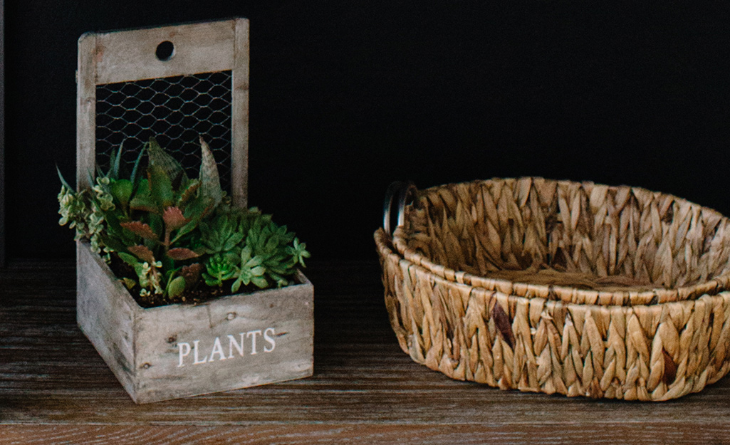 Potted succulents and stacked baskets rest on a shelf.