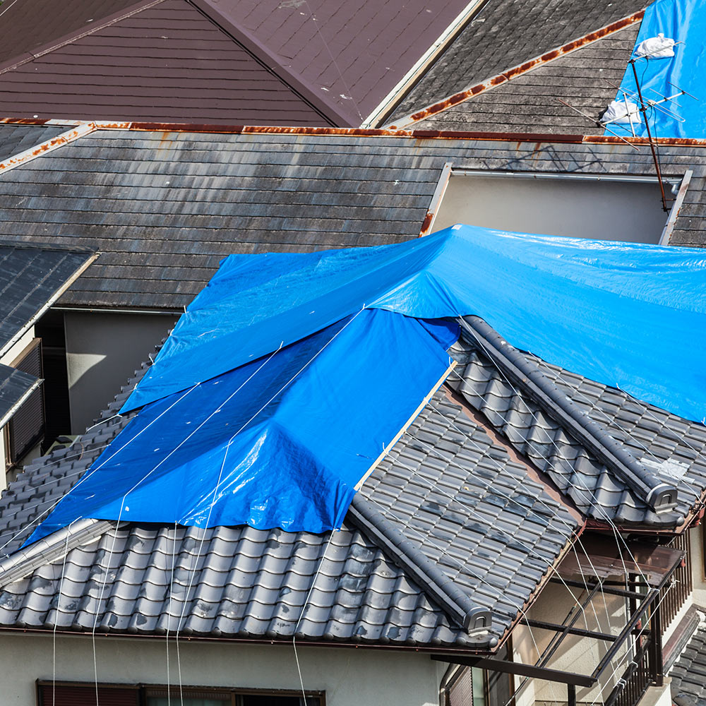 A roof with a blue tarp to show how to tarp a roof 